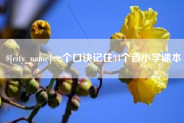 临沧一个口诀记住34个省小学课本