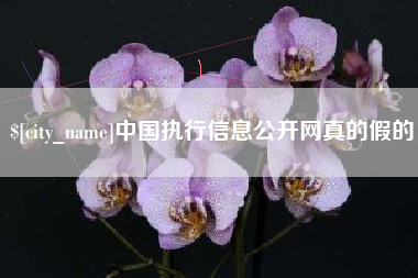 临沧中国执行信息公开网真的假的