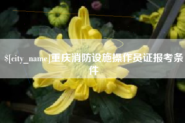 临沧重庆消防设施操作员证报考条件