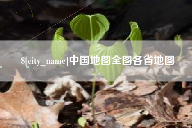 临沧中国地图全图各省地图