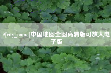 临沧中国地图全图高清版可放大电子版