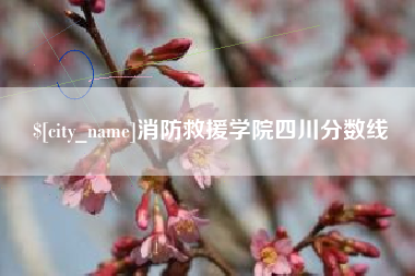 临沧消防救援学院四川分数线