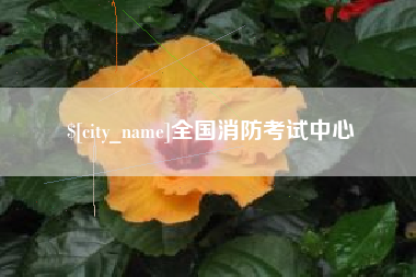 临沧全国消防考试中心
