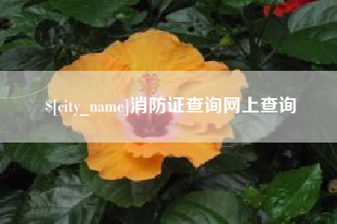 临沧消防证查询网上查询