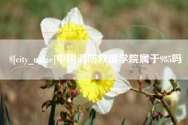 临沧中国消防救援学院属于985吗