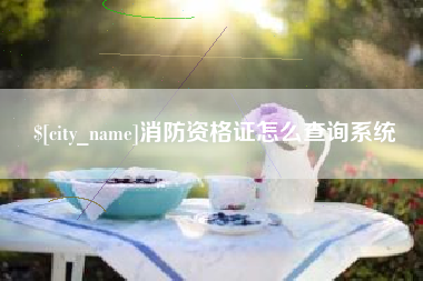 临沧消防资格证怎么查询系统