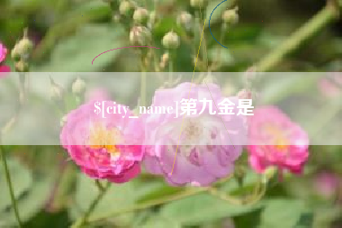 临沧第九金是