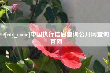 临沧中国执行信息查询公开网查询官网