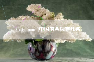 临沧中国的金牌有几名