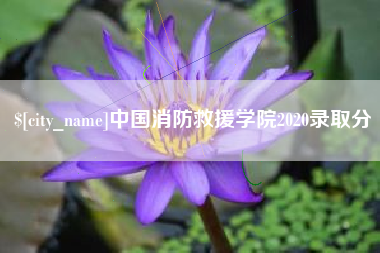 临沧中国消防救援学院2020录取分