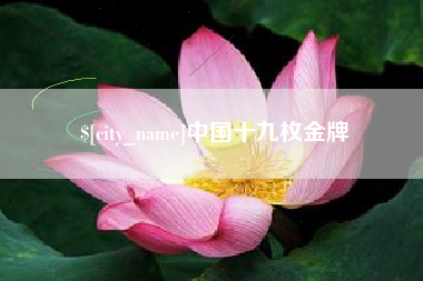 临沧中国十九枚金牌