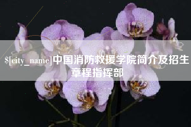 临沧中国消防救援学院简介及招生章程指挥部