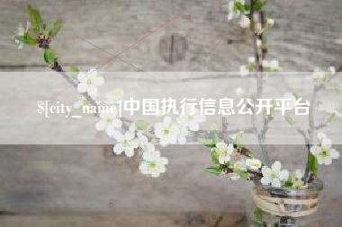 临沧中国执行信息公开平台
