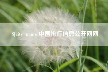 临沧中国执行信息公开网网
