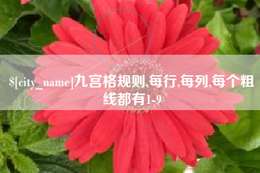 临沧九宫格规则,每行,每列,每个粗线都有1-9