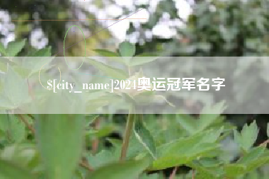 临沧2024奥运冠军名字
