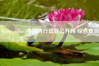 临沧中国执行信息公开网 综合查询