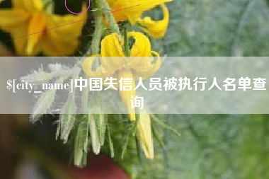 临沧中国失信人员被执行人名单查询