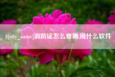 临沧消防证怎么查询,用什么软件