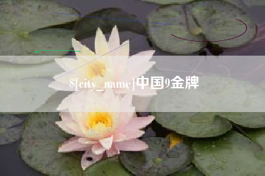 临沧中国9金牌