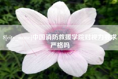 临沧中国消防救援学院对视力要求严格吗