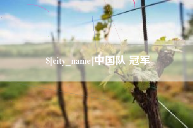 临沧中国队 冠军