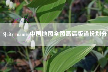 临沧中国地图全图高清版省份划分