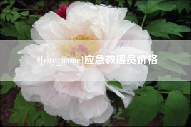 临沧应急救援员价格
