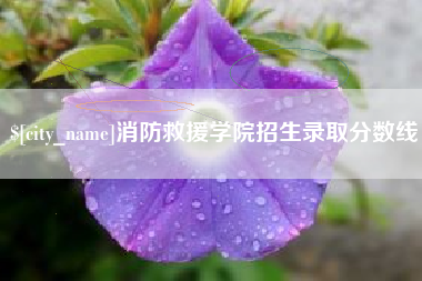 临沧消防救援学院招生录取分数线