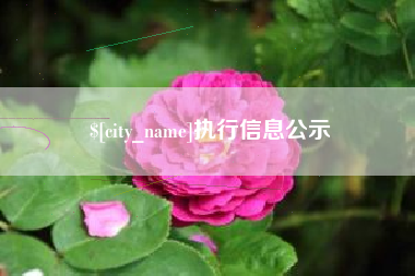 临沧执行信息公示