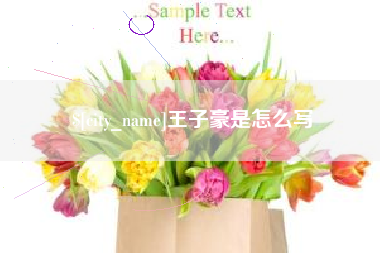 临沧王子豪是怎么写