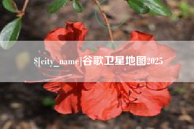临沧谷歌卫星地图2025