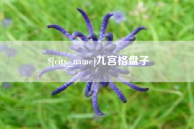 临沧九宫格盘子
