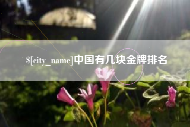 临沧中国有几块金牌排名