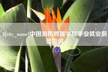 临沧中国消防救援学院毕业就业前景如何