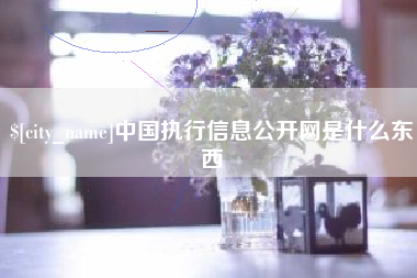 临沧中国执行信息公开网是什么东西