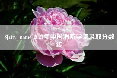 临沧2021年中国消防学院录取分数线