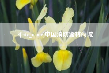 临沧中国消防器材商城
