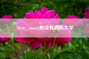 临沧有没有消防大学