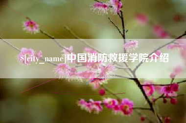 临沧中国消防救援学院介绍