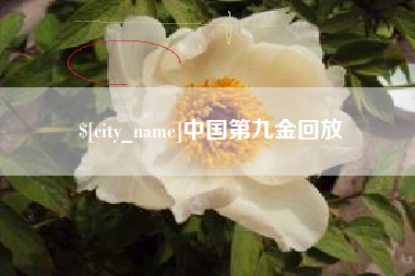 临沧中国第九金回放