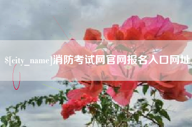 临沧消防考试网官网报名入口网址