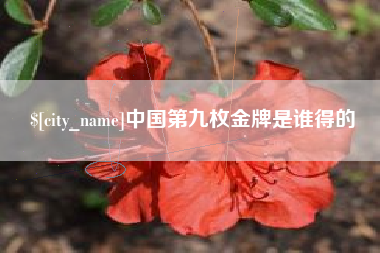 临沧中国第九枚金牌是谁得的