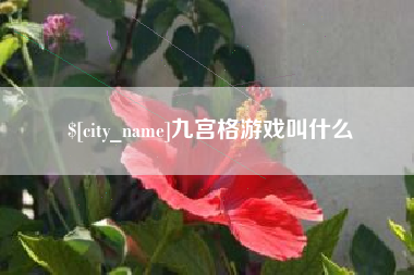 临沧九宫格游戏叫什么