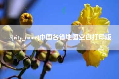 临沧中国各省地图空白打印版