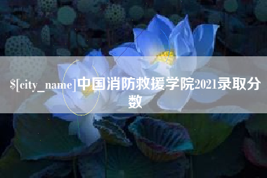 临沧中国消防救援学院2021录取分数