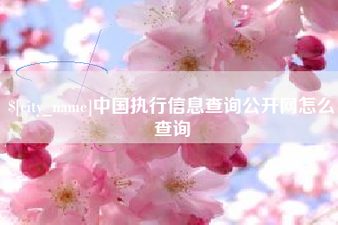 临沧中国执行信息查询公开网怎么查询