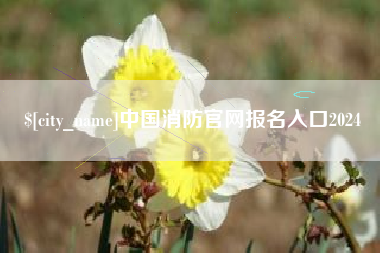 临沧中国消防官网报名入口2024