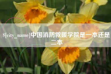 临沧中国消防救援学院是一本还是二本