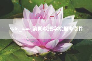 临沧消防救援学院报考条件